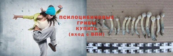 прущий лед Михайлов
