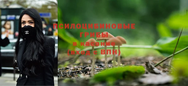 прущий лед Михайлов