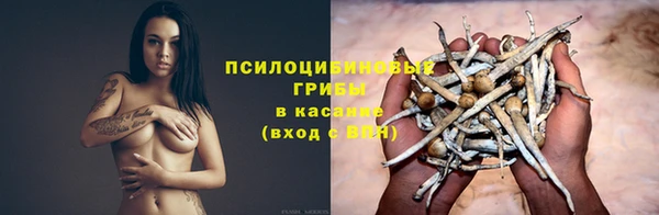крисы Михайловка